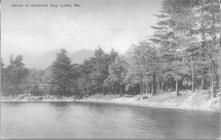 SA1598 - A lakeshore view. Identified on the front., Winterthur Shaker Photograph and Post Card Collection 1851 to 1921c